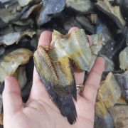 blog1