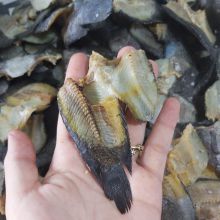 Ikan Asin produk