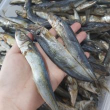 Produknya Seafood